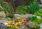 Runnymede VICplanting-garden-and-landscape-design-69.jpg; ?>