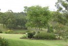 Runnymede VICresidential-landscaping-40.jpg; ?>